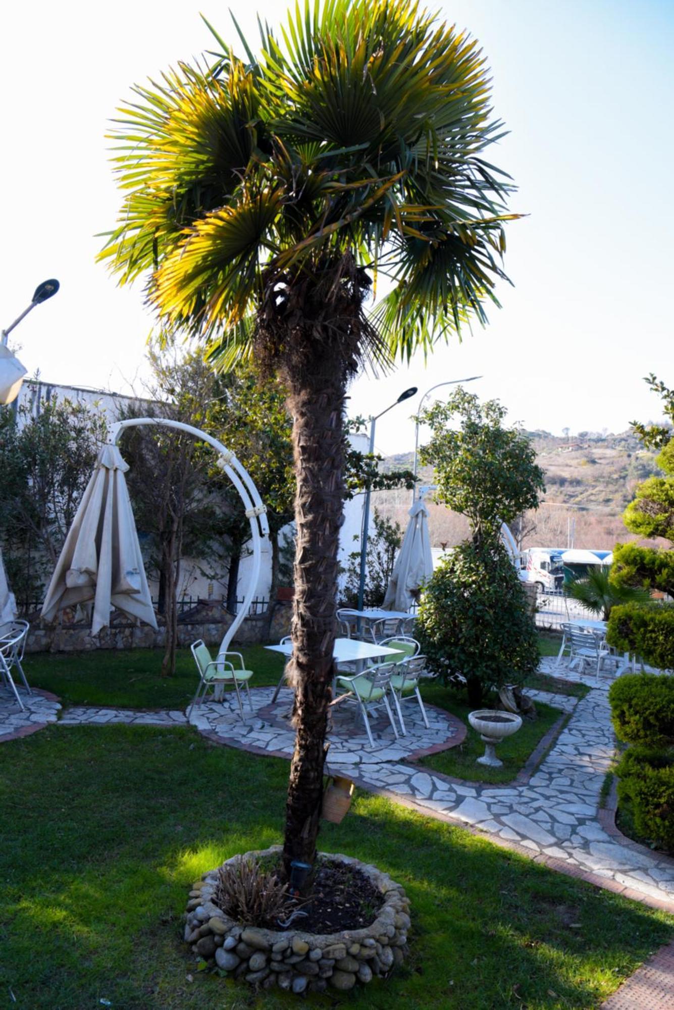 Hotel Restorant Halal Il Tramonto. Vorë Exteriör bild